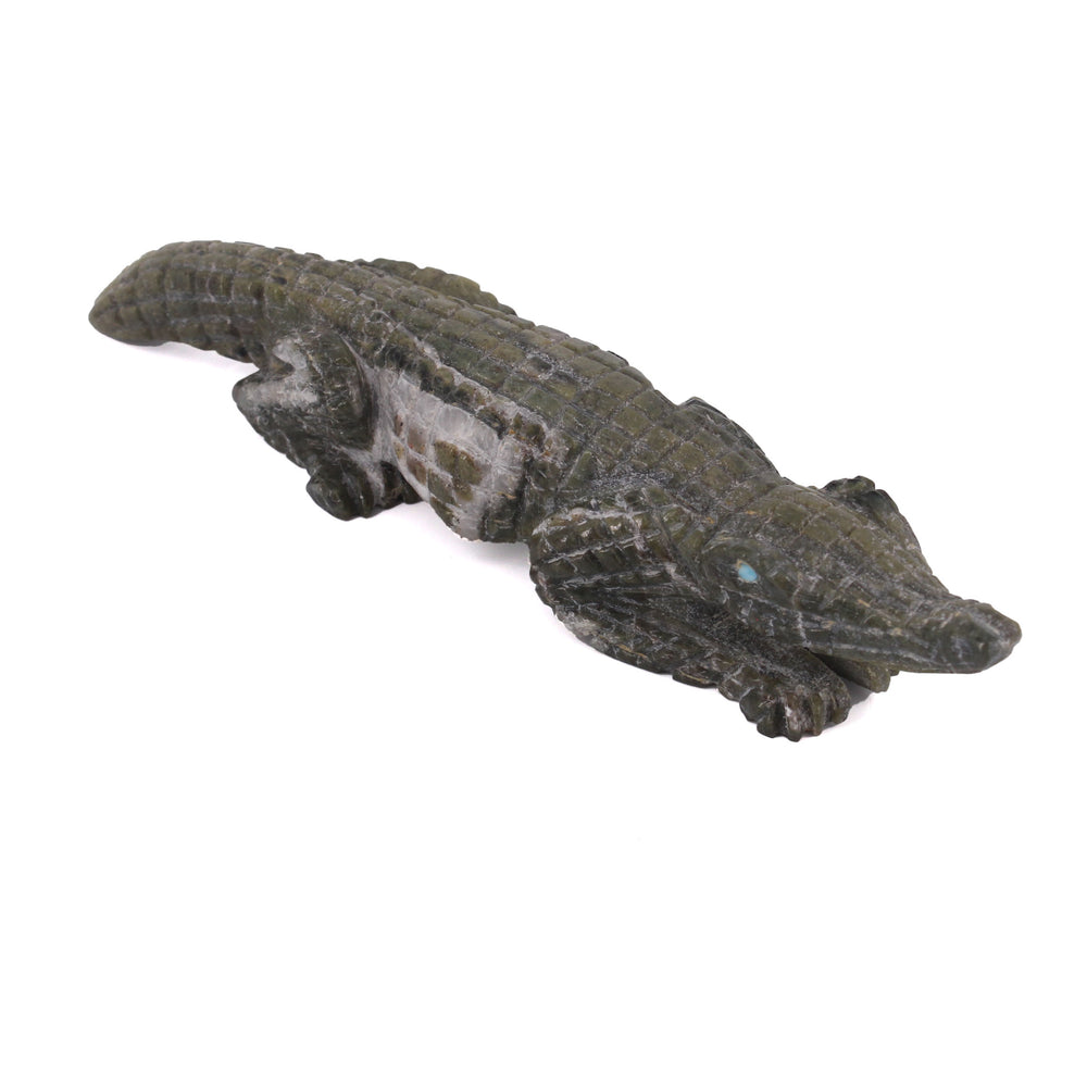 Alligator Fetish