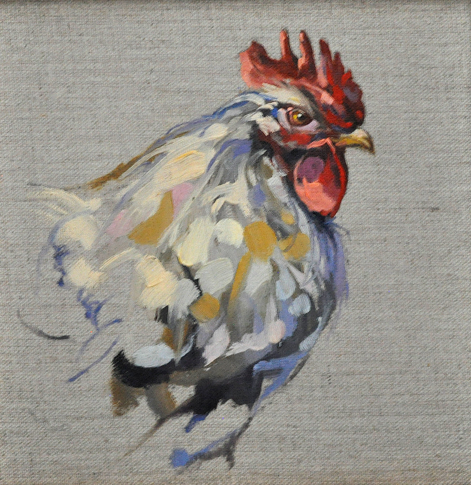 Rooster Study
